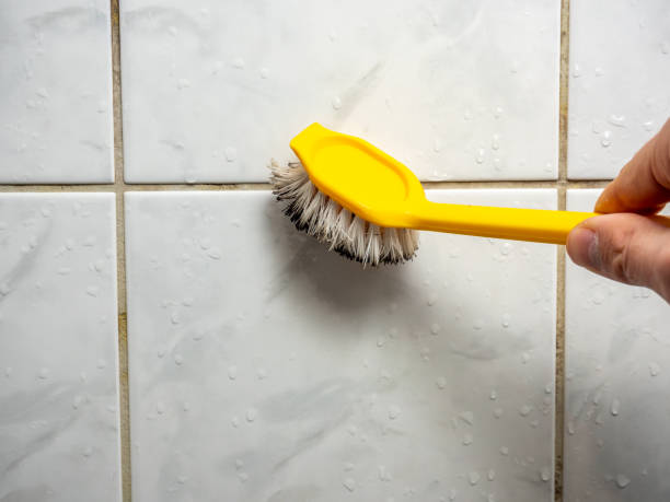 Best Industrial Mold Remediation in Orida City, FL