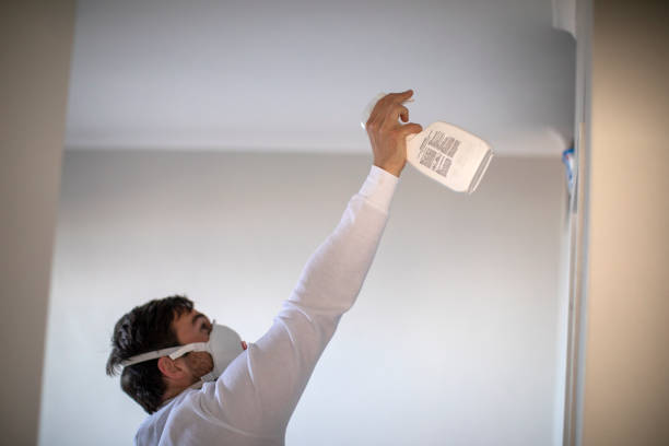 Best Health and Safety Mold Remediation in Orida City, FL
