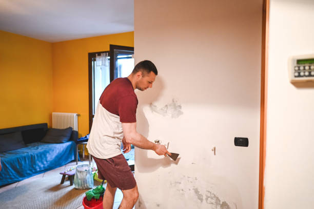 Best Bathroom Mold Remediation in Orida City, FL