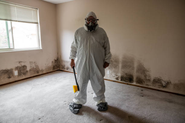 Best Residential Mold Remediation in Orida City, FL